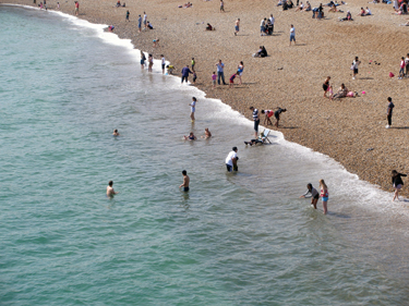 Swimmers