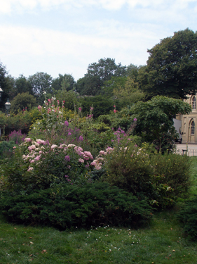 Gardens