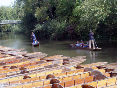 Punts