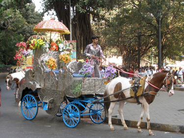 Horse & carriage