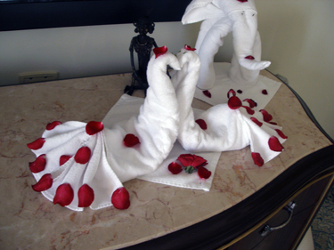 More napkin sculptures