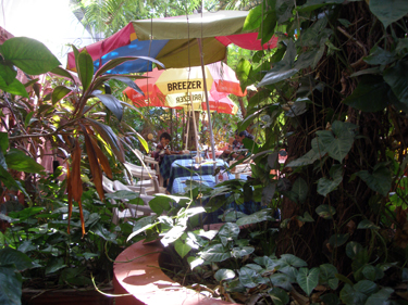 garden restaurant