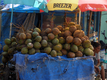 coconut stand