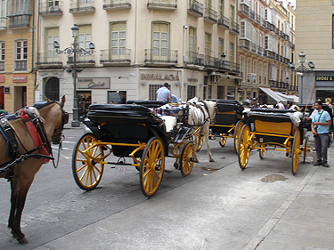 Carriages & horses