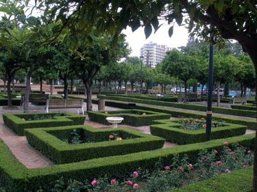 Rose gardens