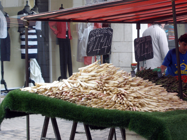 Asparagus