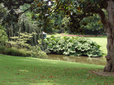 Botanical Gardens