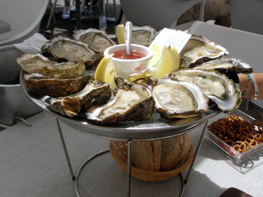 Oysters