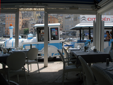 Tourist toy train