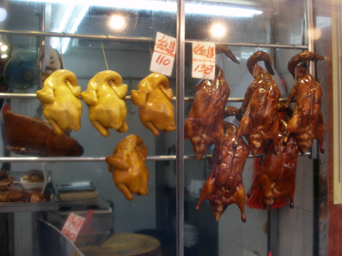 Poultry