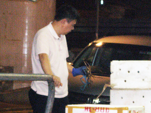 Choosing crab at restaurant