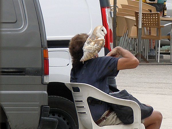 Lady with owl on shoulder