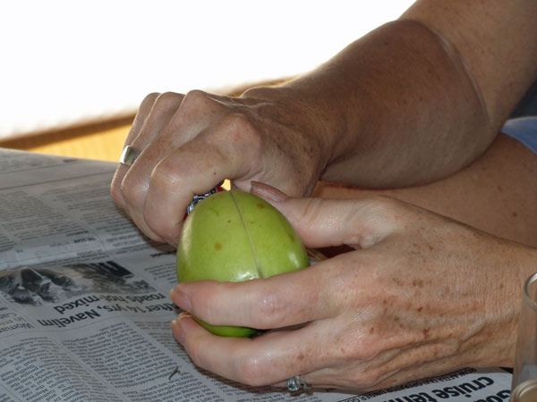 Fruit