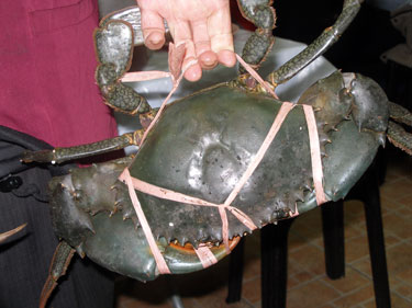 Our crab