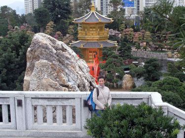 Garden adjacent to Chi Lin nunnery in Diamond Hill