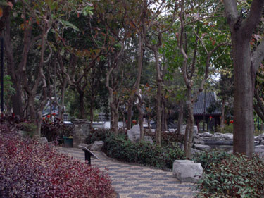 Scenes in Kowloon Walled City Park