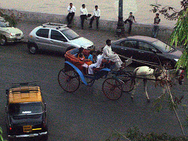 Horse & carriage