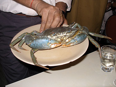 Live crab