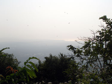 Distant view of the beaches