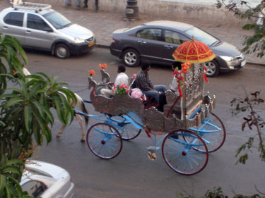 Horese carriage