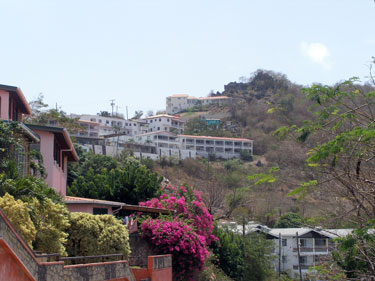 hillside