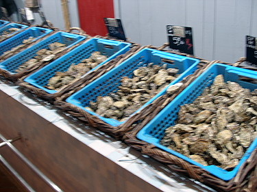 Oysters